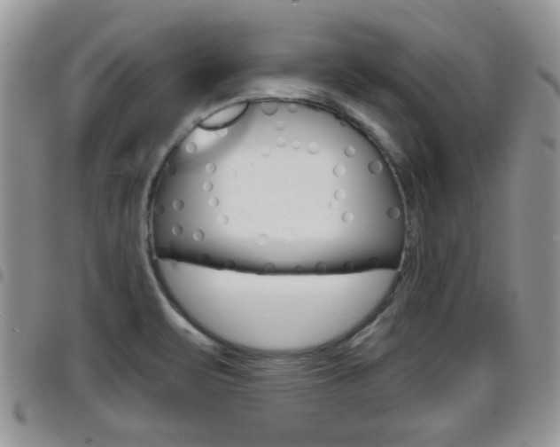 X0000096191471200801180957