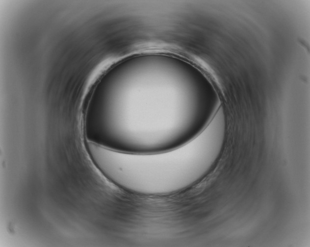 X0000096191472200801180957