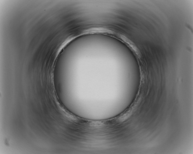 X0000096191473200801180957