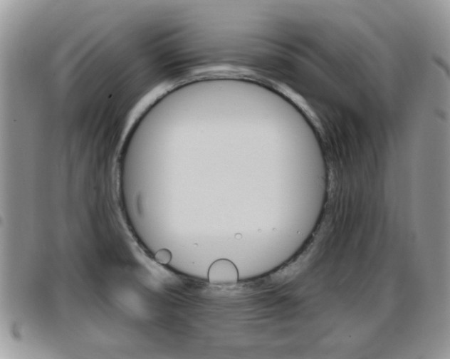X0000096191474200801180957