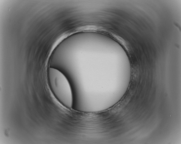 X0000096191475200801180957