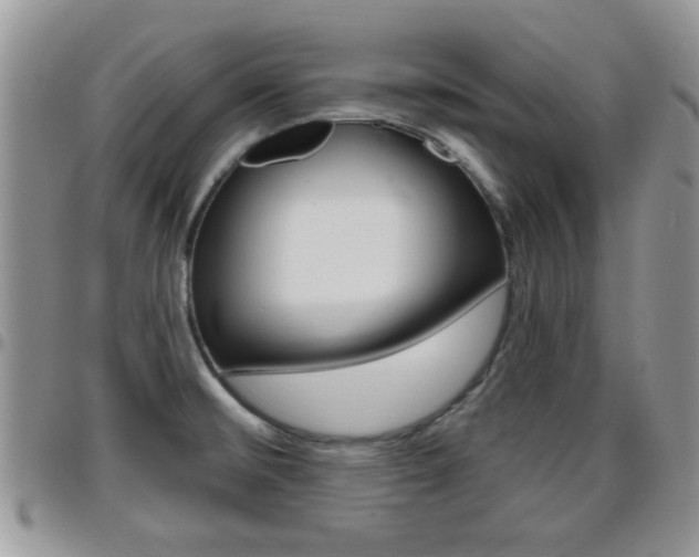 X0000096191476200801180957