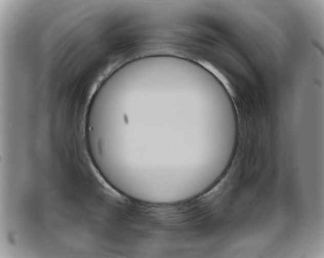 X0000096191477200801180957