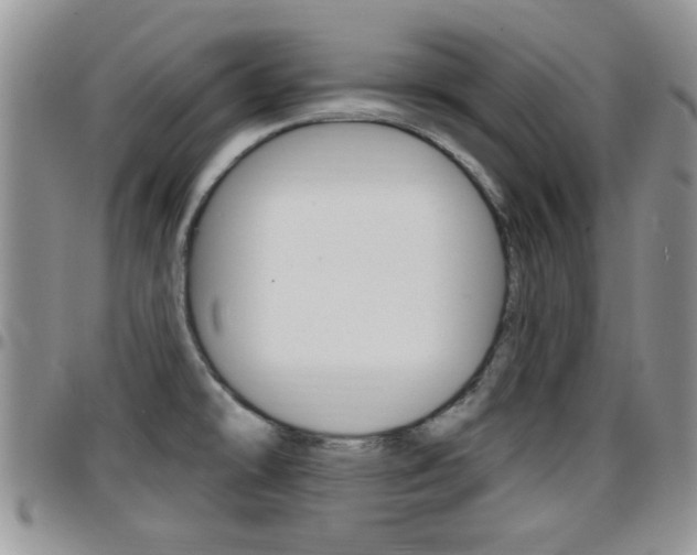 X0000096191478200801180957
