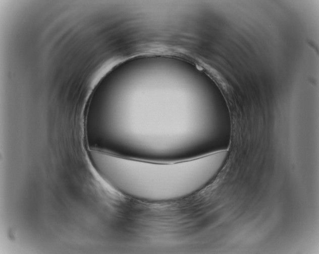 X0000096191479200801180957