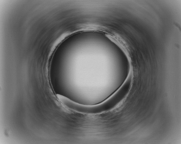X0000096191480200801180957