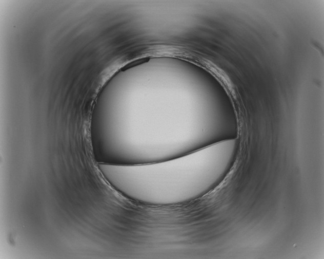 X0000096191481200801180957