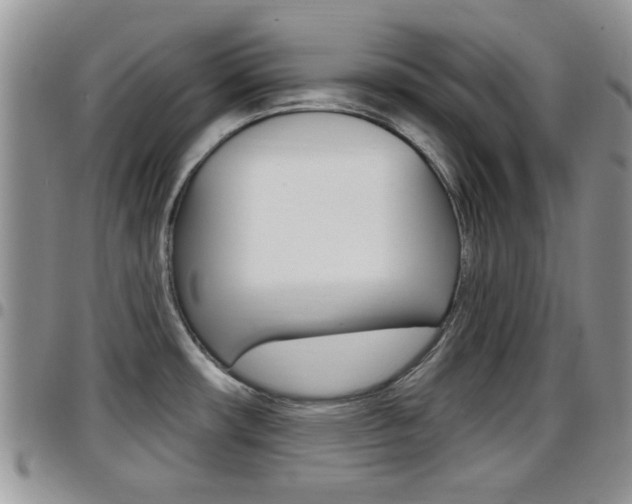 X0000096191482200801180957