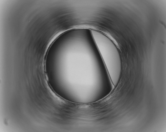 X0000096191484200801180957