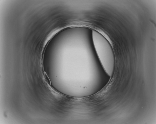 X0000096191485200801180957