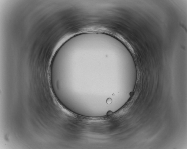 X0000096191486200801180957