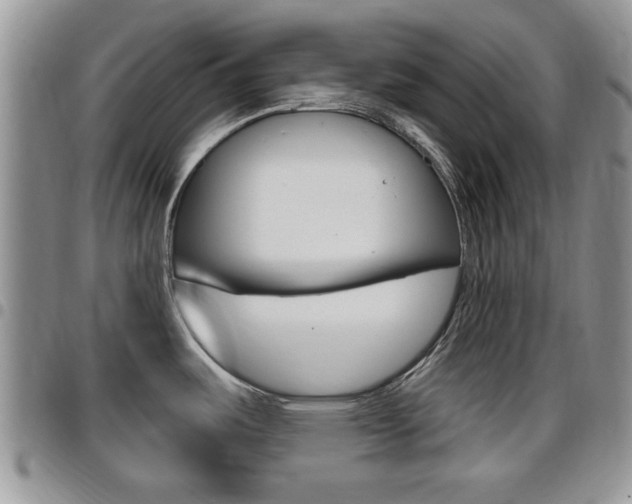 X0000096191487200801180957