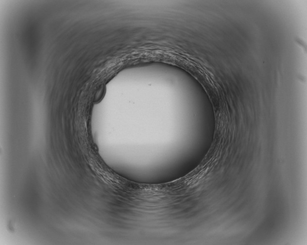 X0000096191489200801180957