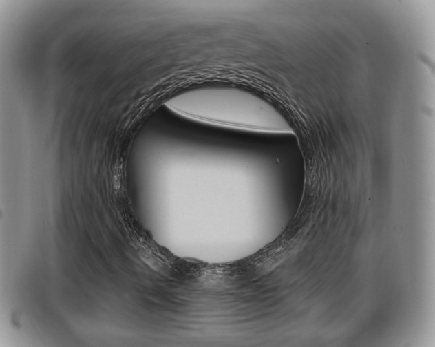 X0000096191490200801180957