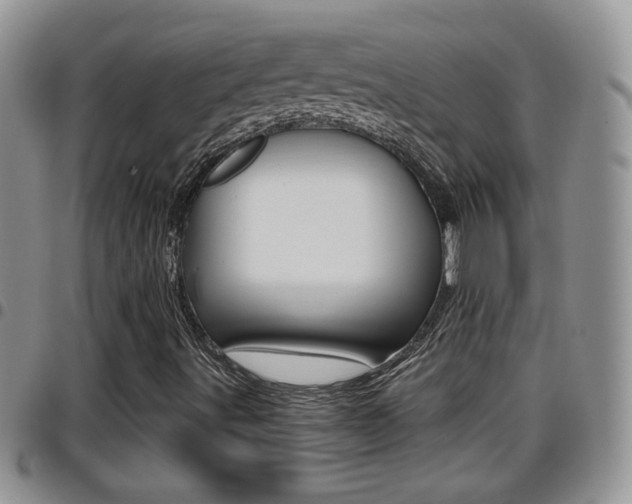 X0000096191491200801180957