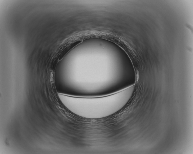 X0000096191492200801180957