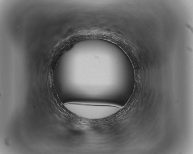 X0000096191493200801180957