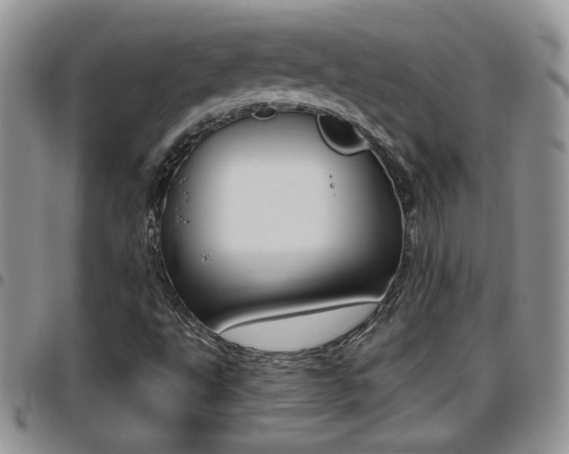 X0000096191495200801180957