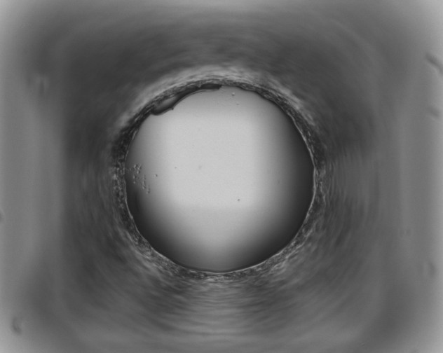X0000096191496200801180957