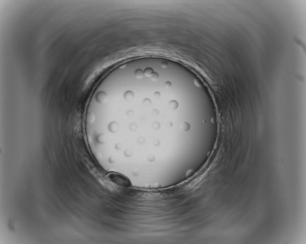 X0000096191499200801180957