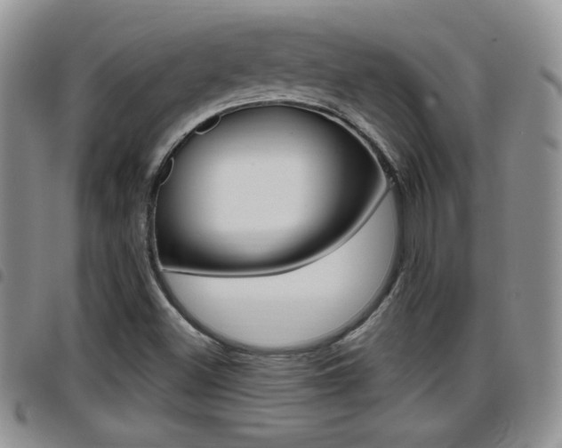 X0000096191500200801180957