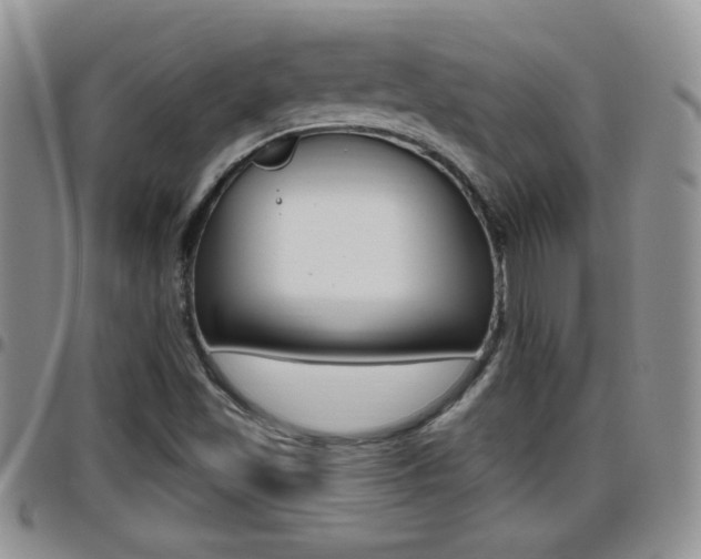X0000096191501200801180957