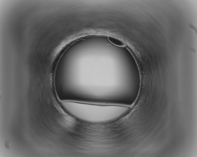 X0000096191503200801180957