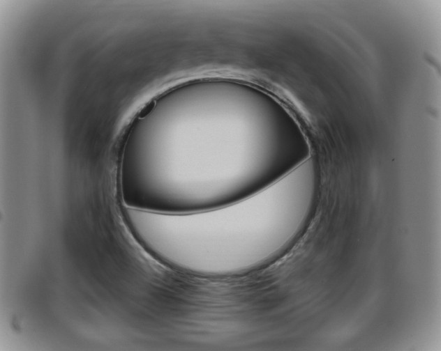 X0000096191504200801180957