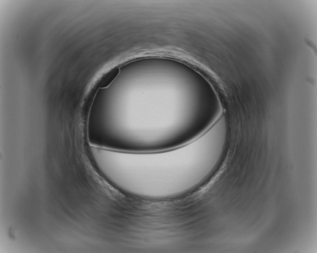 X0000096191506200801180957