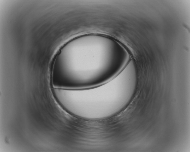 X0000096191508200801180957