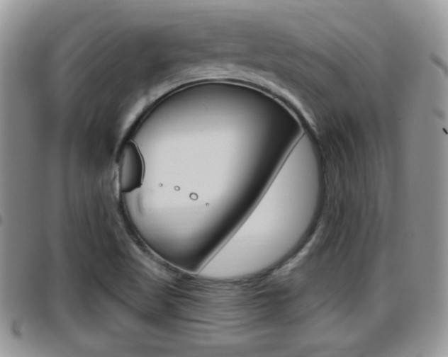 X0000096191509200801180957
