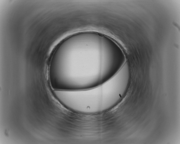 X0000096191510200801180957