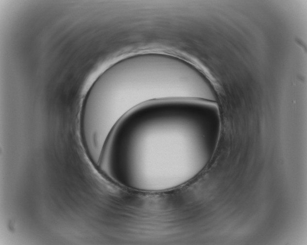 X0000096191512200801180957