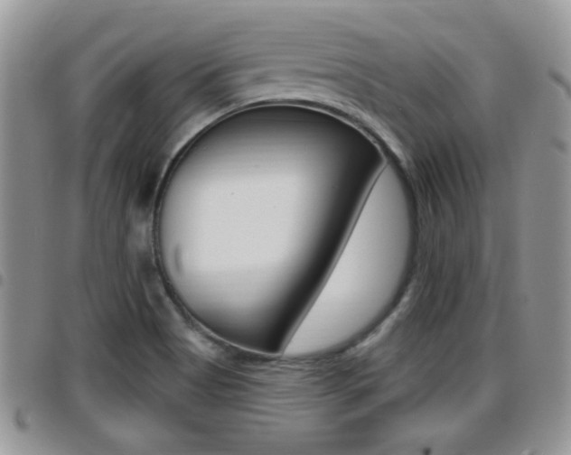 X0000096191513200801180957