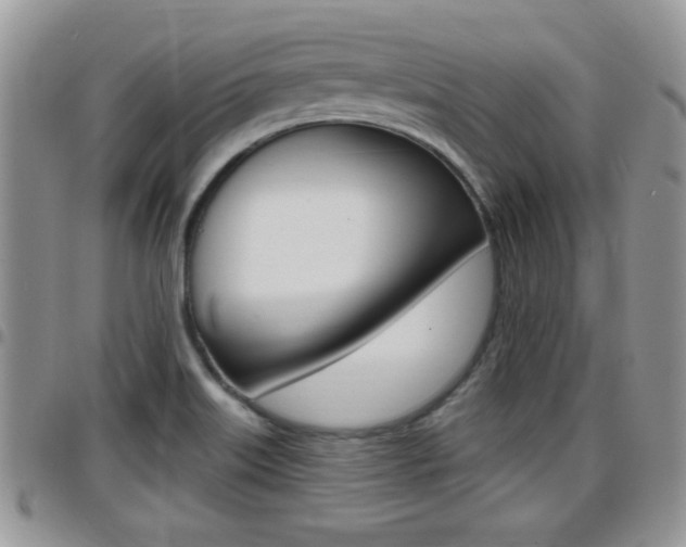 X0000096191515200801180957