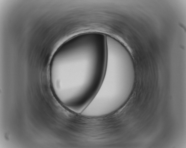 X0000096191516200801180957