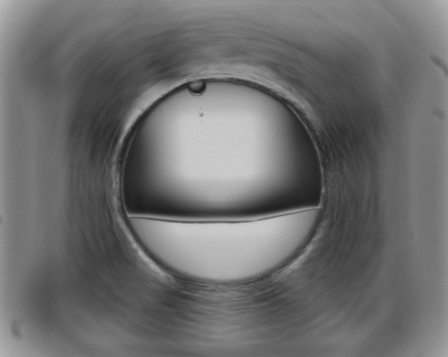 X0000096191517200801180957