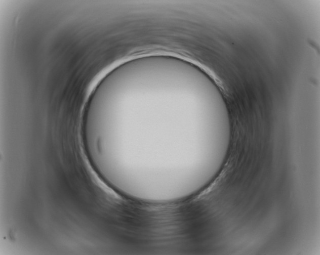 X0000096191518200801180957