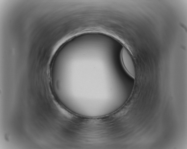 X0000096191519200801180957