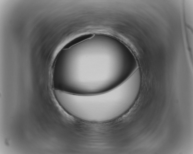 X0000096191520200801180957