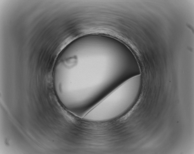 X0000096191521200801180957