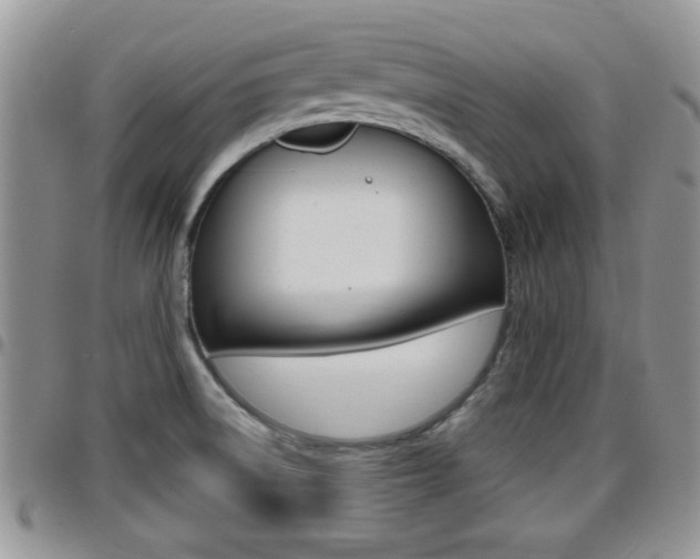 X0000096191522200801180957