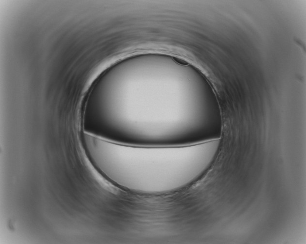X0000096191523200801180957