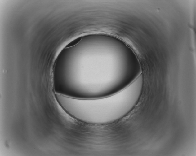 X0000096191524200801180957