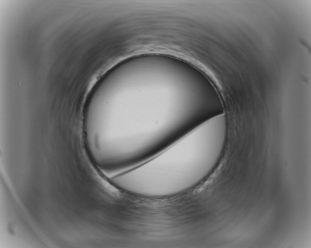 X0000096191525200801180957