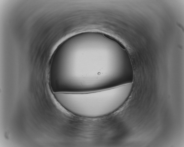 X0000096191526200801180957
