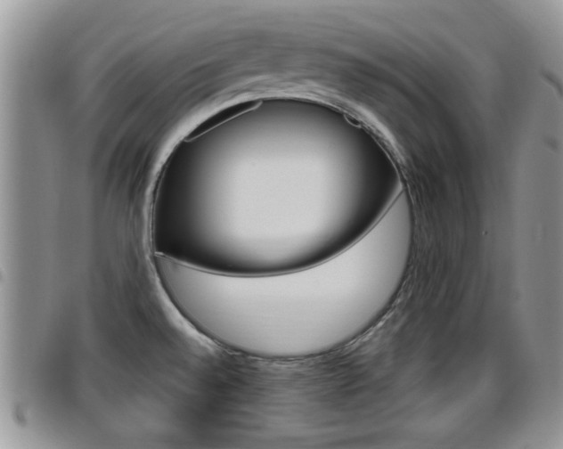 X0000096191528200801180957