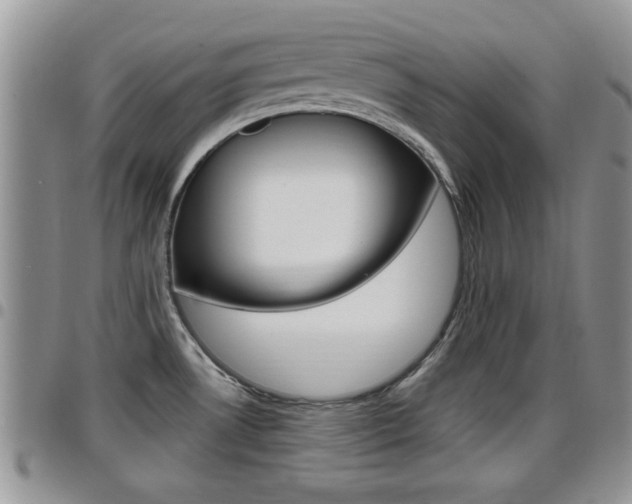 X0000096191530200801180957