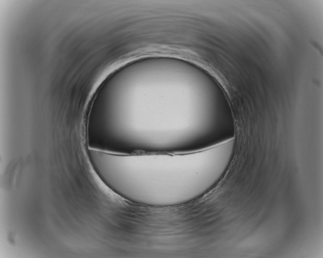 X0000096191531200801180957