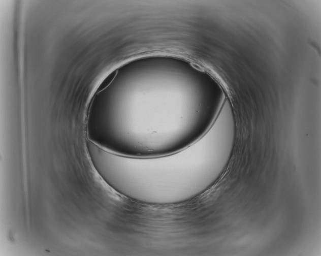 X0000096191532200801180957